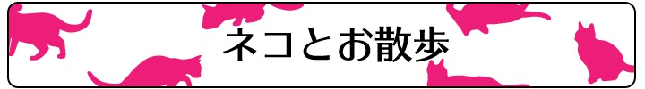 ネコとお散歩